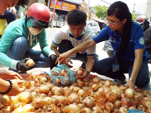 [-]Người[-]Sài[-]Gòn[-]chung[-]tay[-]"giải[-]cứu[-]hành[-]tây"[-]giúp[-]nông[-]dân[-]Đà[-]Lạt
